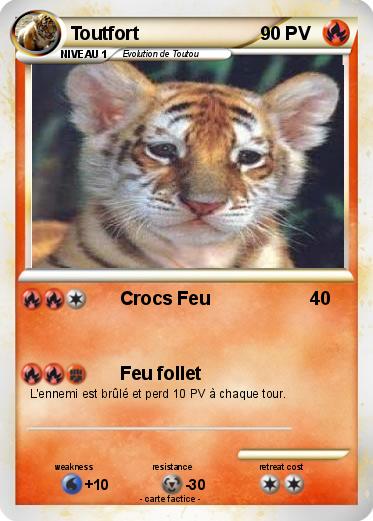 Pokemon Toutfort