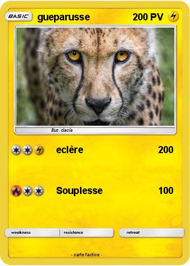Pokemon gueparusse