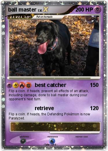 Pokemon ball master