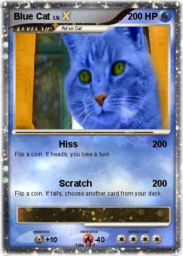 Pokemon Blue Cat