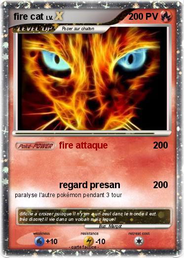 Pokemon fire cat