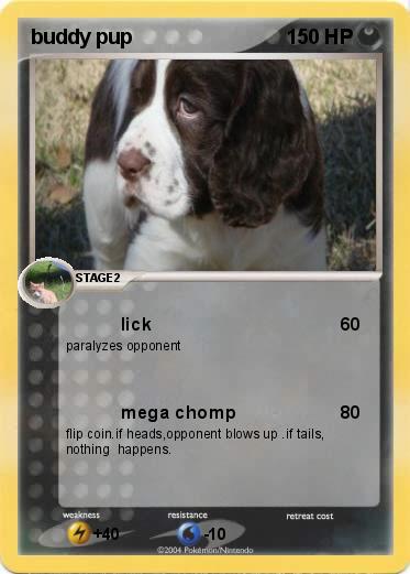 Pokemon buddy pup
