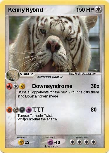 Pokemon Kenny Hybrid