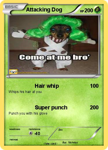 Pokemon Attacking Dog
