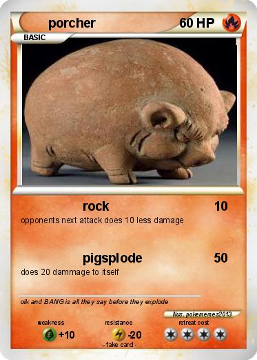 Pokemon porcher