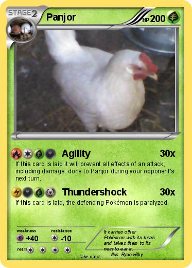 Pokemon Panjor