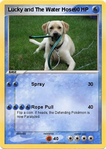 Pokemon Lucky and The Water Hose