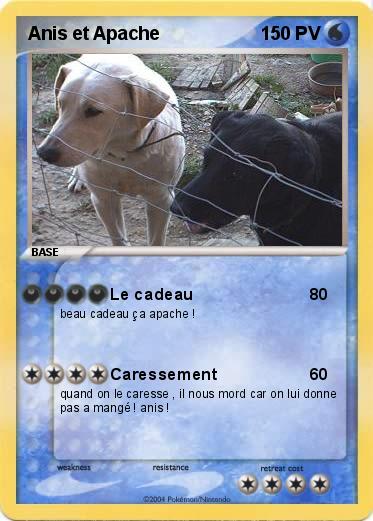 Pokemon Anis et Apache