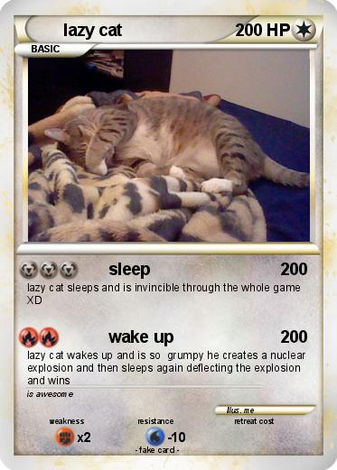 Pokemon lazy cat