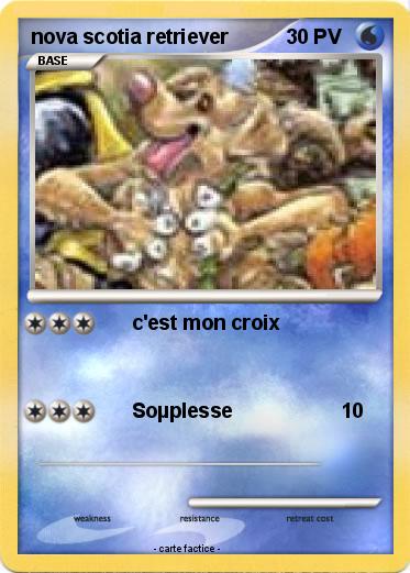 Pokemon nova scotia retriever