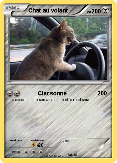 Pokemon Chat au volant