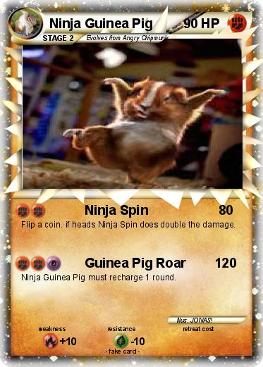 Pokemon Ninja Guinea Pig