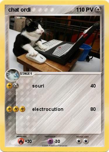 Pokemon chat ordi