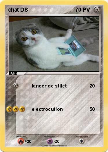 Pokemon chat DS