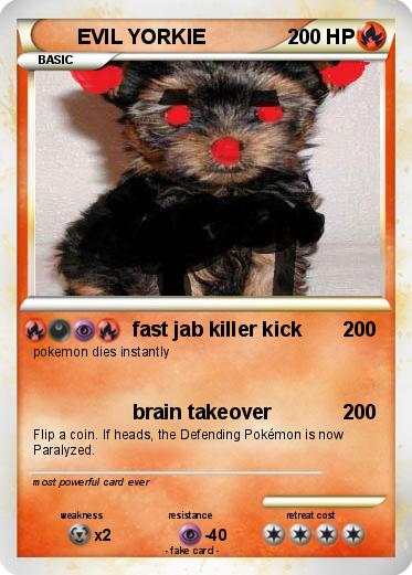 Pokemon EVIL YORKIE