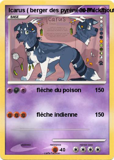 Pokemon Icarus ( berger des pyrénées-blackmouth cur mix )