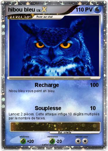 Pokemon hibou bleu