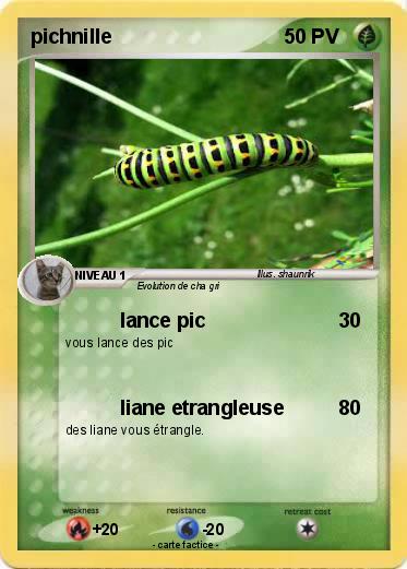 Pokemon pichnille
