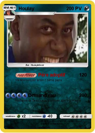 Pokemon Houlay