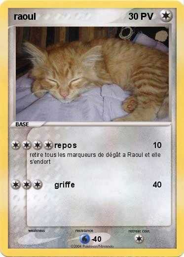 Pokemon raoul