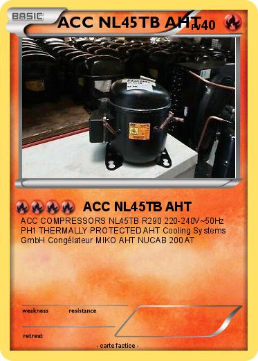 Pokemon ACC NL45TB AHT