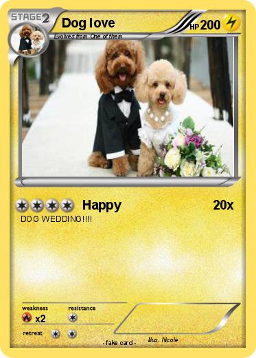 Pokemon Dog love