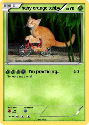 Pokemon baby orange tabby