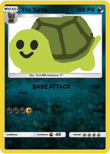 Pokemon The Turtle