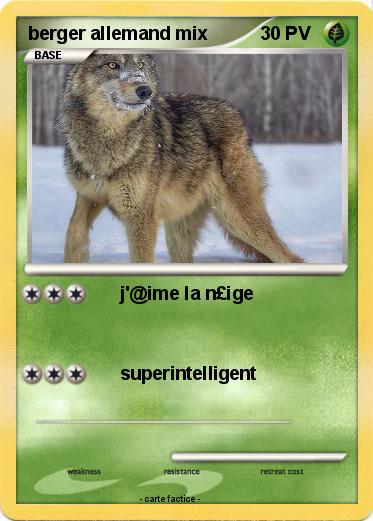 Pokemon berger allemand mix