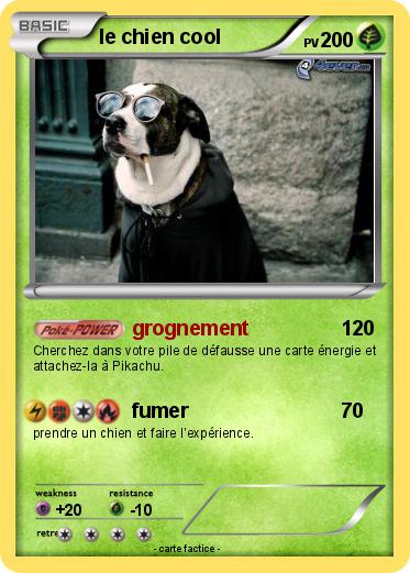 Pokemon le chien cool