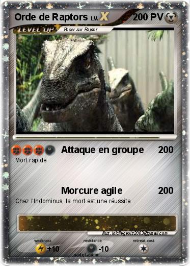 Pokemon Orde de Raptors