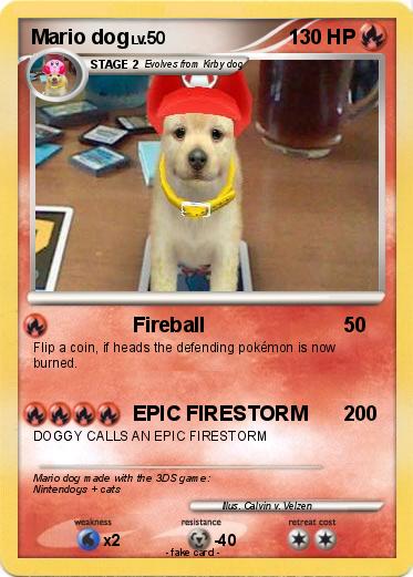 Pokemon Mario dog