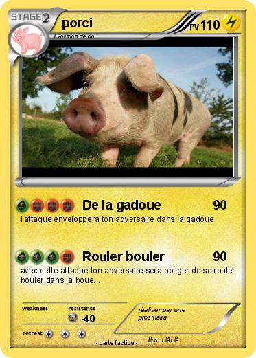 Pokemon porci