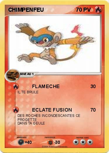 Pokemon CHIMPENFEU