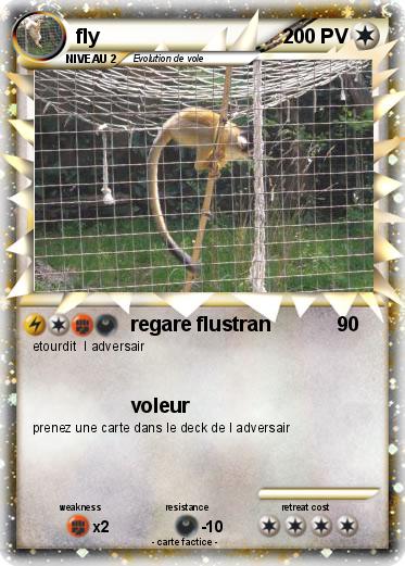 Pokemon fly