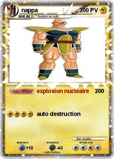 Pokemon nappa