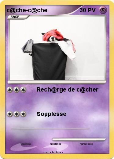 Pokemon c@che-c@che