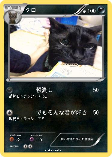 Pokemon クロ
