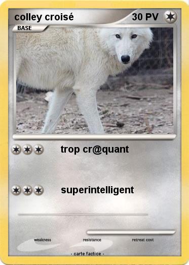 Pokemon colley croisé