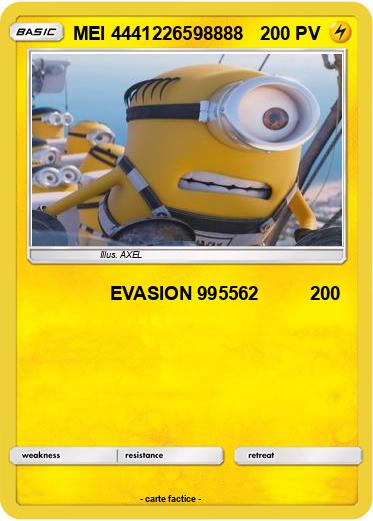 Pokemon MEI 4441226598888