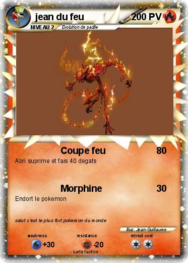 Pokemon jean du feu