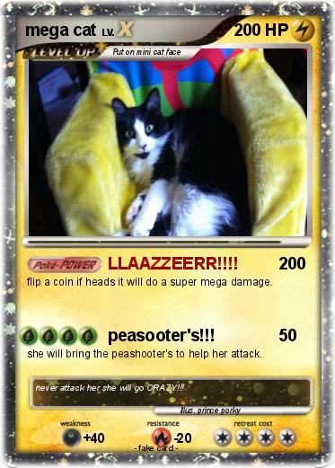 Pokemon mega cat