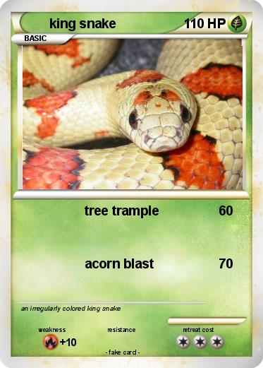 Pokemon king snake