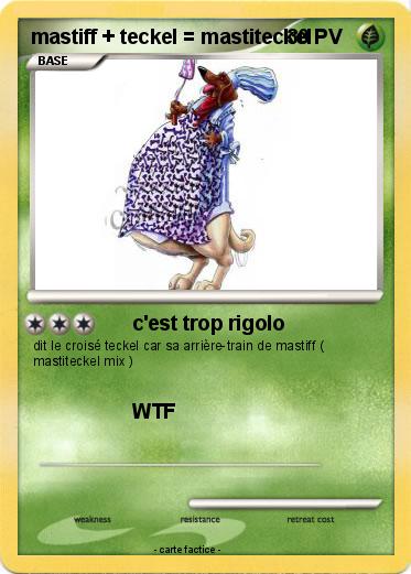 Pokemon mastiff + teckel = mastiteckel