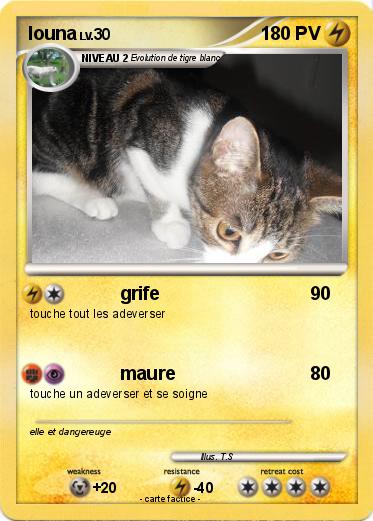 Pokemon louna