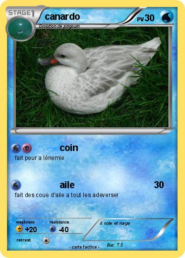 Pokemon canardo