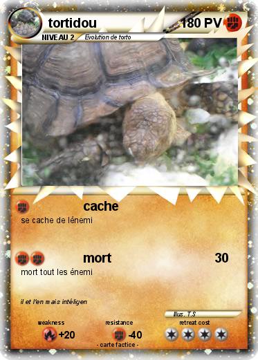 Pokemon tortidou