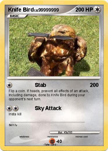 Pokemon Knife Bird