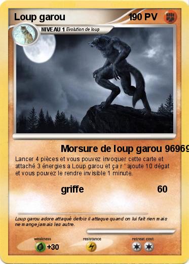Pokemon Loup garou                        1