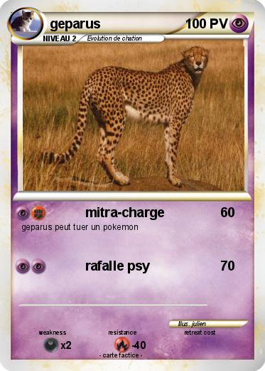 Pokemon geparus